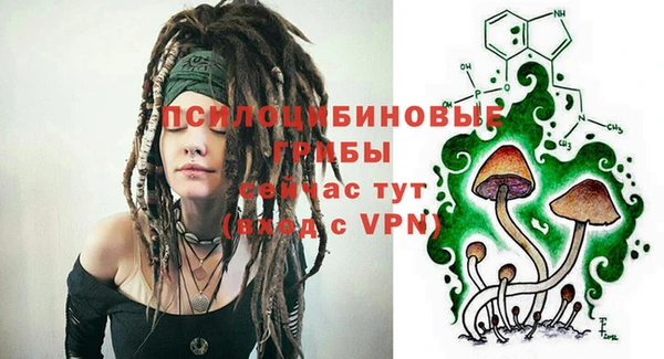 таблы Фёдоровский