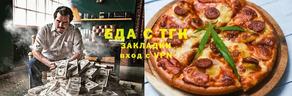 индика Каменка