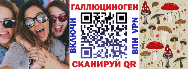 Галлюциногенные грибы Cubensis  Чкаловск 